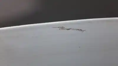 Peça sobressalente para automóvel em segunda mão capot por renault clio iii authentique referências oem iam   