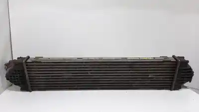 Peça sobressalente para automóvel em segunda mão intercooler por ford focus berlina (cap) ambiente (d) referências oem iam 1673687  