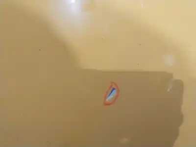 Peça sobressalente para automóvel em segunda mão capot por toyota corolla (_e12_) 2.0 d-4d (cde120r_, cde120l_) referências oem iam 5330102090  