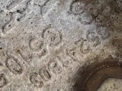 Pezzo di ricambio per auto di seconda mano riduttore per citroen nemo basis riferimenti oem iam 55241803  55241803