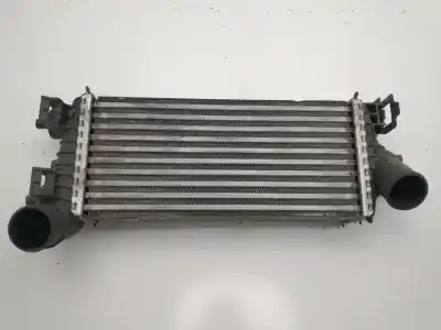 Pezzo di ricambio per auto di seconda mano INTERCOOLER per FORD FOCUS LIM.  Riferimenti OEM IAM X1436002  