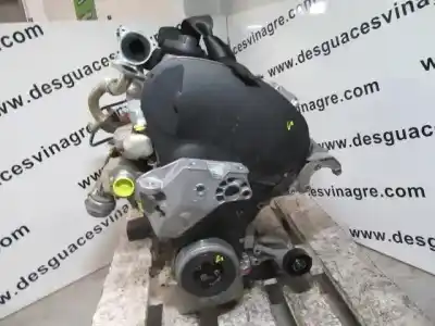Pezzo di ricambio per auto di seconda mano motore completo per seat toledo (1m2) 1.9 tdi riferimenti oem iam alh 90cv  
