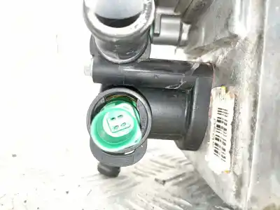 Gebrauchtes Autoersatzteil zylinderkopf des motors zum volkswagen golf iv (1j1) 1.9 tdi oem-iam-referenzen 038103372e  