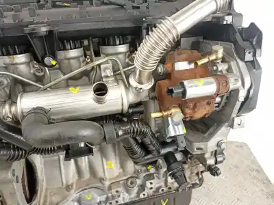 Pezzo di ricambio per auto di seconda mano motore completo per ford fiesta v (jh_, jd_) 1.4 tdci riferimenti oem iam f6jb  