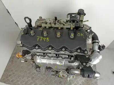 Piesă de schimb auto la mâna a doua motor complet pentru nissan primera berlina (p12) 2.2 16v turbodiesel cat referințe oem iam yd22  