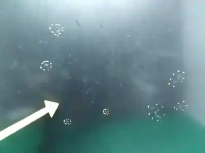 Peça sobressalente para automóvel em segunda mão capot por audi a8 (4e2) 4.0 v8 32v tdi biturbo cat (ase) referências oem iam 4e0823029c  