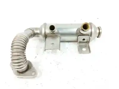 Peça sobressalente para automóvel em segunda mão radiador de gases de escape (egr) por ford tourneo connect (tc7) 1.8 tdci cat referências oem iam 7t1q9f464aa
