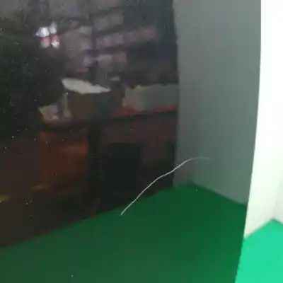 Peça sobressalente para automóvel em segunda mão porta do automóvel traseira direita por lexus is200 (ds2/is2) 2.2 d-cat referências oem iam   