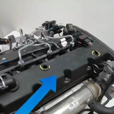 Recambio de automóvil de segunda mano de motor usado* para kia carnival 2.9 crdi vgt ex referencias oem iam   