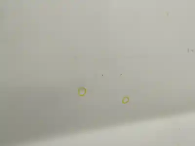 Peça sobressalente para automóvel em segunda mão porta da frente esquerda por renault trafic combi (ab 4.01) 1.9 diesel referências oem iam   