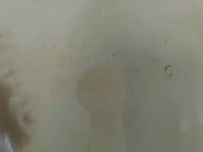 Second-hand car spare part coolant expansion tank for renault captur i (j5_, h5_) 1.5 dci 90 oem iam references 217107259r  