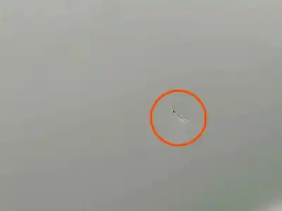 Peça sobressalente para automóvel em segunda mão porta do automóvel traseira direita por toyota corolla hatchback (_e21_, _ea1_, _eh1_) 1.8 hybrid (zwe211) referências oem iam 6700302540  