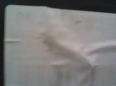 Pièce détachée automobile d'occasion compteur de vitesse tableau de bord pour ford fiesta (cb1) titanium références oem iam 0101040a