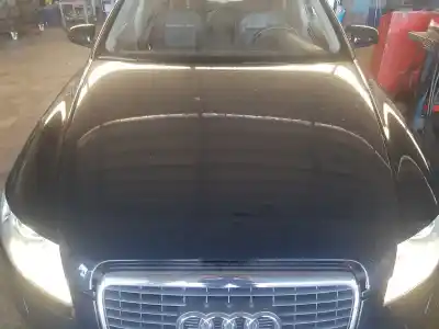 Peça sobressalente para automóvel em segunda mão capot por audi a6 berlina (4f2) 3.2 fsi referências oem iam 