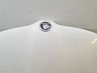 Piesă de schimb auto la mâna a doua capotã pentru skoda rapid active referințe oem iam   