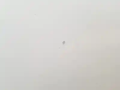 Piesă de schimb auto la mâna a doua capotã pentru skoda rapid active referințe oem iam   