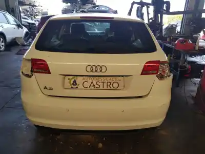 Автозапчасти б/у амортизаторы багажника/двери за audi a3 (8p) 1.6 tdi ambiente ссылки oem iam 