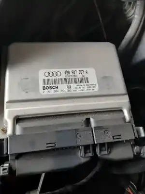 Peça sobressalente para automóvel em segunda mão  por AUDI A6 BERLINA (4B2)  Referências OEM IAM 0261204256  