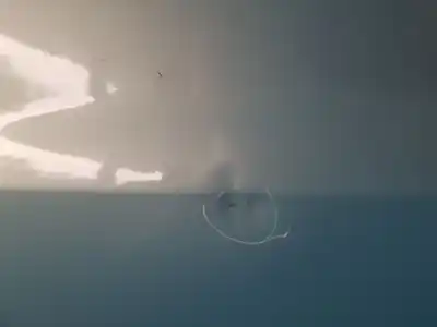 Peça sobressalente para automóvel em segunda mão porta da frente esquerda por renault clio iii 20 aniversario referências oem iam   