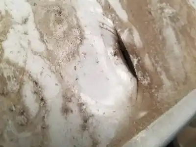 Second-hand car spare part front bumper for kia rio 1.5 crdi oem iam references   