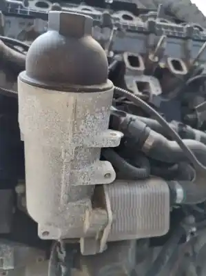 Gebrauchtes Autoersatzteil MOTORÖLKÜHLER zum BMW SERIE 5 BERLINA (E60)  OEM-IAM-Referenzen 7788453  