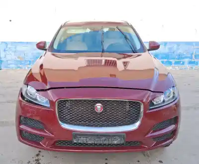 Pièce détachée automobile d'occasion moteur pour jaguar f-pace chequered flag awd références oem iam 204dtd