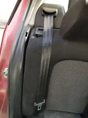 Pezzo di ricambio per auto di seconda mano cintura di sicurezza posteriore destra per seat leon (1m1) signo riferimenti oem iam 