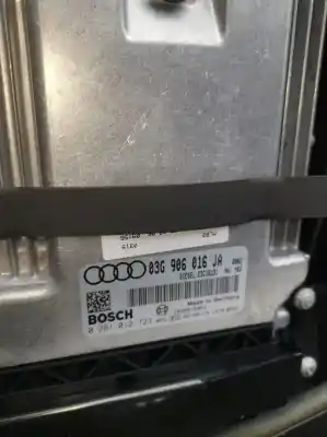 Peça sobressalente para automóvel em segunda mão centralina de motor uce por audi a4 berlina (8e) 1.9 tdi referências oem iam 03g906016ja