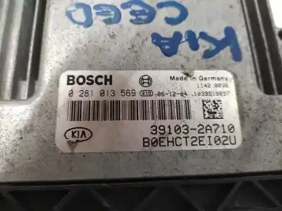Pezzo di ricambio per auto di seconda mano centralina motore per kia cee´d 1.6 crdi cat riferimenti oem iam 391032a710  0281013569