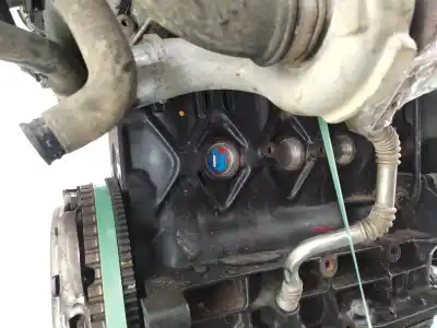 Gebrauchtes Autoersatzteil kompletter motor zum renault kangoo (f/kc0) 1.9 dci diesel cat oem-iam-referenzen f9q790  