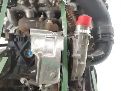 Pezzo di ricambio per auto di seconda mano motore completo per renault scénic iii (jz0/1_) 1.9 dci (jz0j, jz1j, jz1k, jz1s) riferimenti oem iam f9q872  
