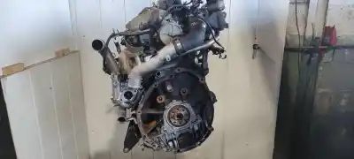 Recambio de automóvil de segunda mano de motor completo para nissan primera berlina (p12) 2.2 16v turbodiesel cat referencias oem iam yd22d  