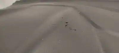 Pezzo di ricambio per auto di seconda mano kit airbag per ford focus iii 1.5 d 120cv riferimenti oem iam   