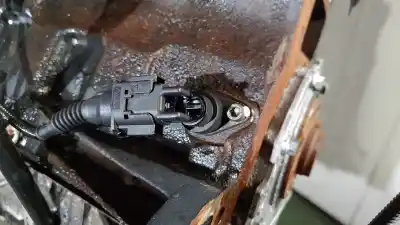 Peça sobressalente para automóvel em segunda mão motor completo por bmw serie 3 touring (e46) 330xd referências oem iam 306d1  