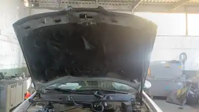 Pezzo di ricambio per auto di seconda mano cofano per seat toledo ii (1m2) 1.9 tdi riferimenti oem iam 1m0823033d  