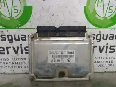 Peça sobressalente para automóvel em segunda mão centralina de motor uce por seat leon (1m1) signo referências oem iam 038906012bt