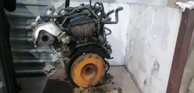 Pezzo di ricambio per auto di seconda mano motore completo per nissan pathfinder (r51) 2.5 dci diesel cat riferimenti oem iam yd25ddti  