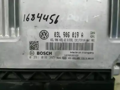 Автозапчасти б/у блок управления двигателем за seat exeo st (3r5) (2009>) sport ссылки oem iam 03l906019a  