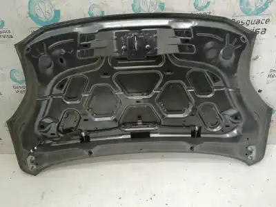 Pezzo di ricambio per auto di seconda mano cofano per ford puma hybrid st-line riferimenti oem iam pl1tbs16610ab  