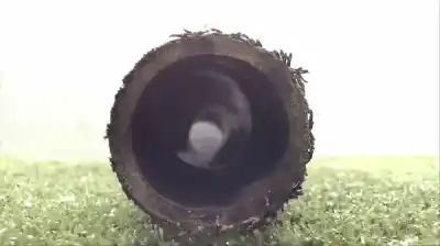 Second-hand car spare part tube for ssangyong actyon sports xdi 4wd oem iam references 