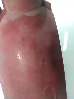 Peça sobressalente para automóvel em segunda mão farolim nevoeiro traseiro esquerdo por citroen c4 berlina 1.6 16v hdi referências oem iam 9651205480