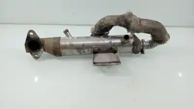Peça sobressalente para automóvel em segunda mão radiador de gases de escape (egr) por ford transit connect (tc7) * referências oem iam  wf0gxxttpg5r32790 