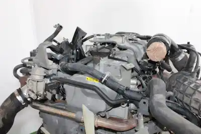 Peça sobressalente para automóvel em segunda mão motor completo por nissan pathfinder (r51) 2.5 dci diesel cat referências oem iam yd25  