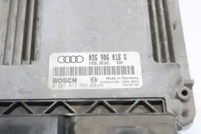 Автозапчастина б/у ебу контролер двигуна для audi a3 (8p) 2.0 tdi ambiente посилання на oem iam 03g906016g  0281011364