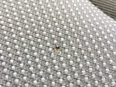 Second-hand car spare part rear left seats for peugeot expert furgón (vf3a_, vf3u_, vf3x_) 1.6 hdi 90 16v oem iam references   