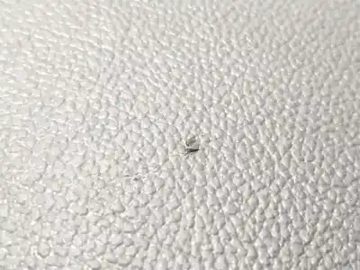 Автозапчастина б/у центральний подлокник для kia xceed (cd) 1.6 crdi 136 посилання на oem iam   