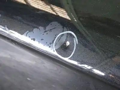 Peça sobressalente para automóvel em segunda mão porta do automóvel traseira direita por audi a4 b8 (8k2) 2.0 tdi referências oem iam   