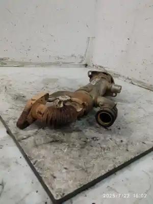 Pezzo di ricambio per auto di seconda mano raffreddatore egr per citroen c4 picasso avatar riferimenti oem iam 9645689780  