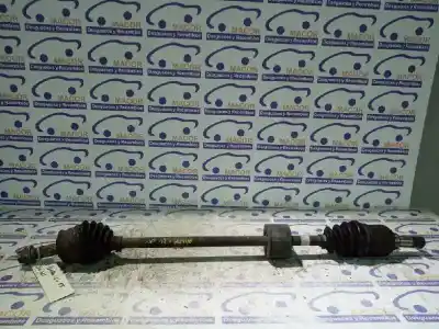 Pezzo di ricambio per auto di seconda mano trasmissione anteriore destra per fiat panda (169) 1.2 8v dynamic riferimenti oem iam 