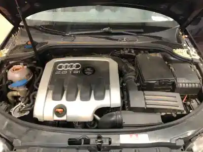 Автозапчастина б/у амортизатор передній лівий для audi a3 (8p1) 2.0 tdi 16v посилання на oem iam 1t0413031dc  au350v604b